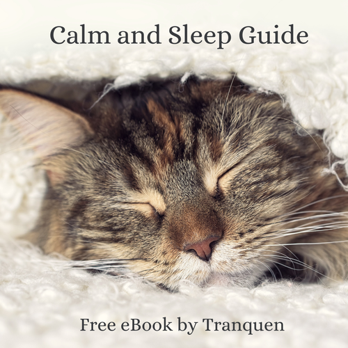 Calm & Sleep Guide (eBook)